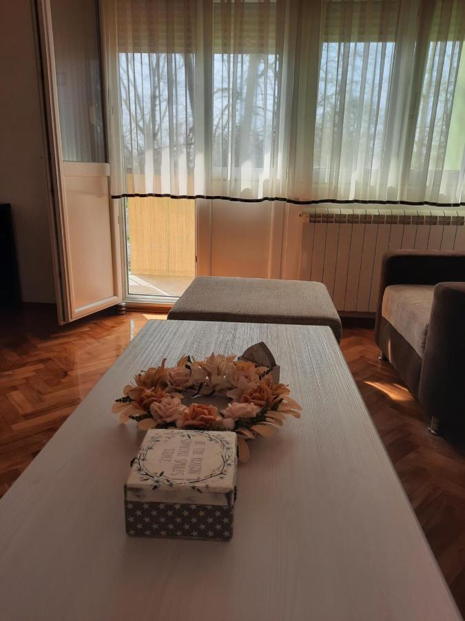 Stan Na Dan Dunja 1 Appartement Vrsac Buitenkant foto