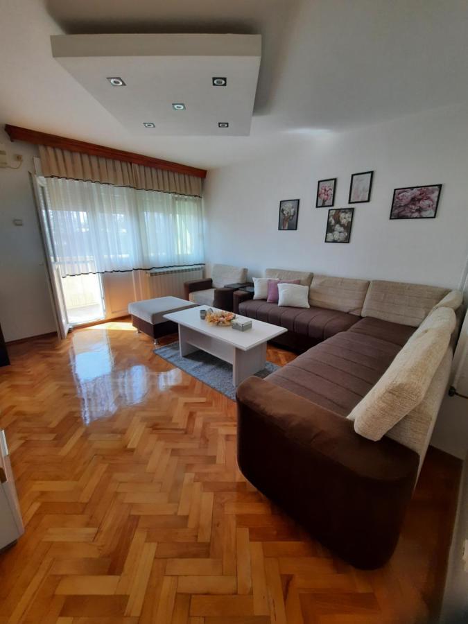 Stan Na Dan Dunja 1 Appartement Vrsac Buitenkant foto